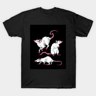 Old School Tattoo Albino Rats T-Shirt